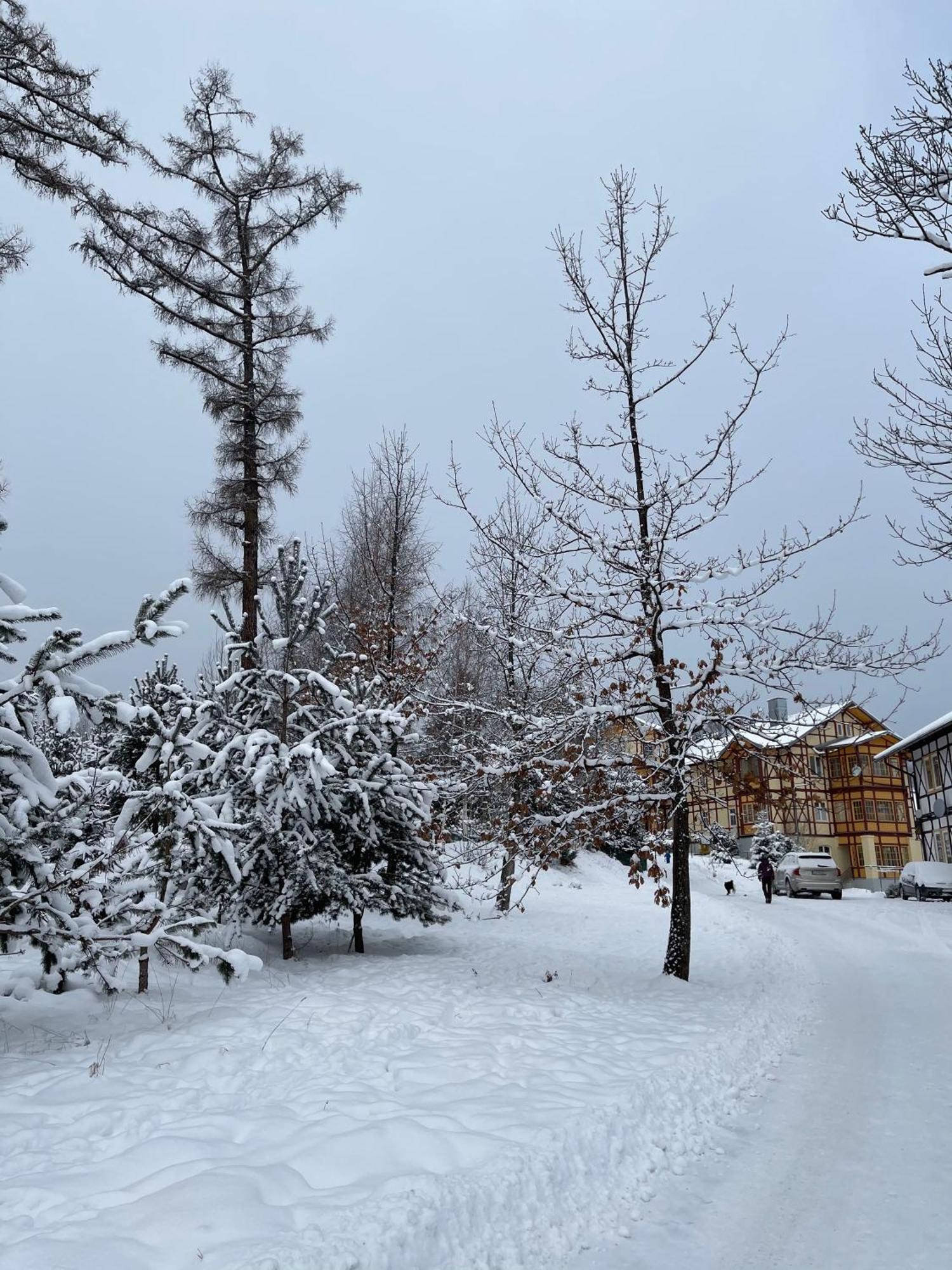 Vila Mudron Vysoké Tatry 외부 사진